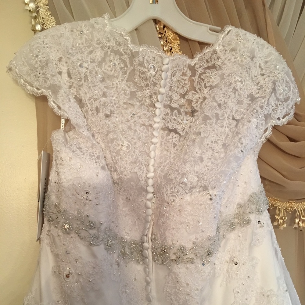 Wedding Gown, Tiara, And veil.. the whole package - Picture 4 of 8